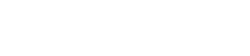 “Nvidia will be the dominant computing engine that drives artificial intelligence...for the next decade” - Wall Street executive