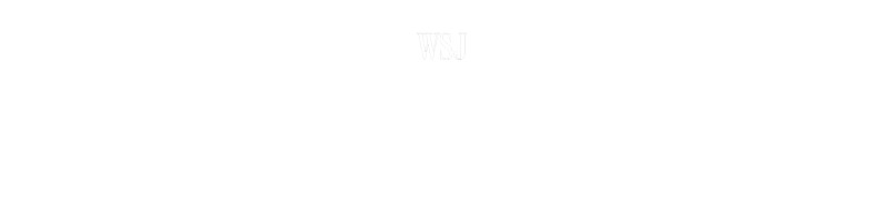 “The lifeblood of...A.I.” - The Wall Street Journal