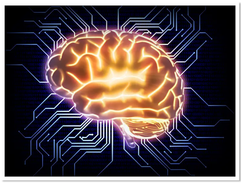 illustration of brain connected to electronic circuit