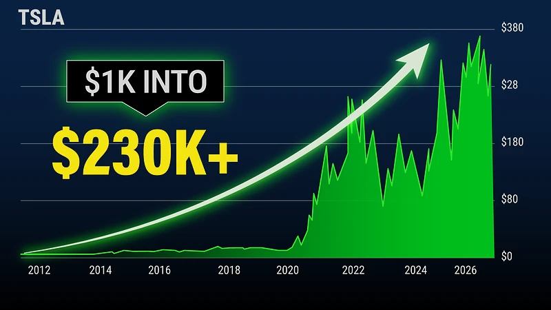 Tesla share price chart showing a $1,000 stake growing to over $230,000
