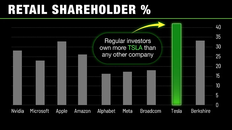 retail investors own over 40% of tesla stock