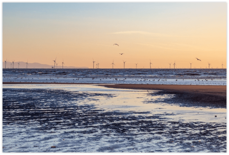 A great way to ruin a beautiful view.