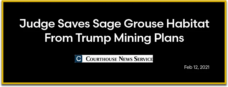 Courthouse News Service: Judge Saves Sage Grouse Habitat From Trump Mining Plans
