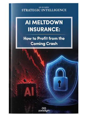 Report: The AI Meltdown Insurance: How to Profit from the Coming Crash