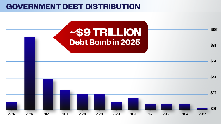 Government Debt Distribution by year