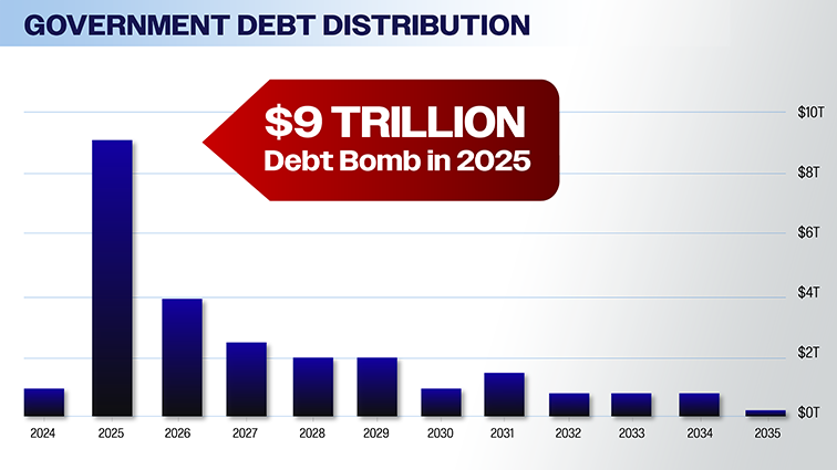 Government Debt Distribution by year