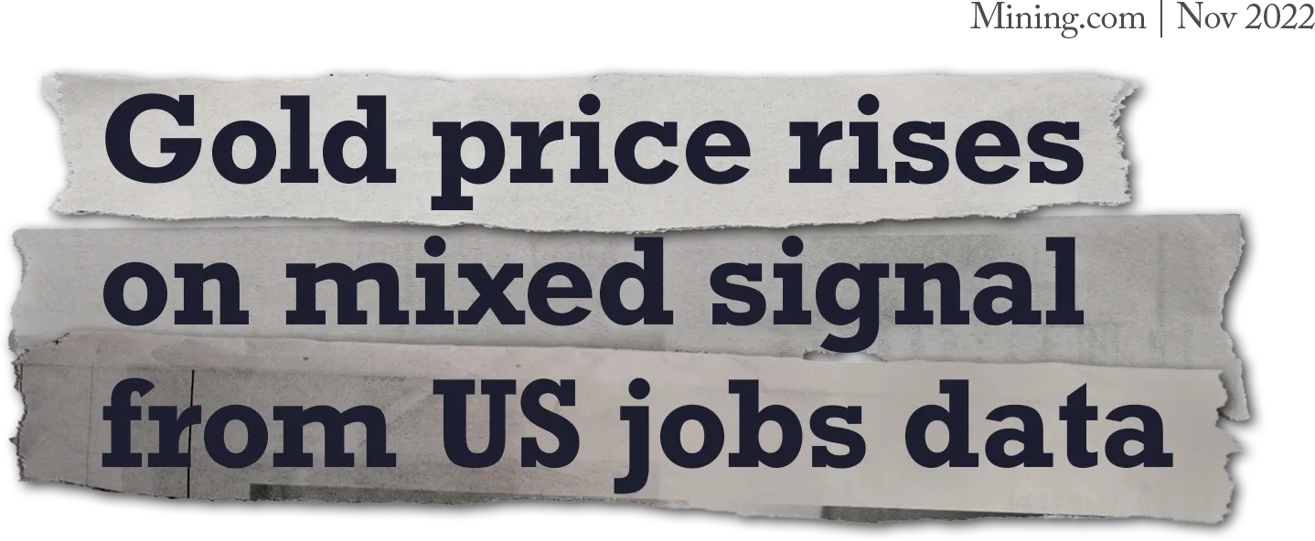 Gold price rises on mixed signal from US jobs data
