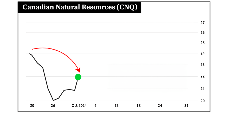 Chart: CNQ