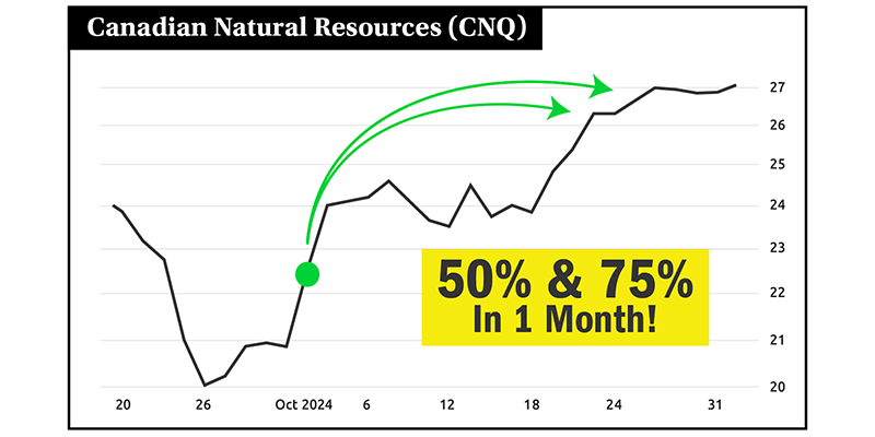 Chart: CNQ